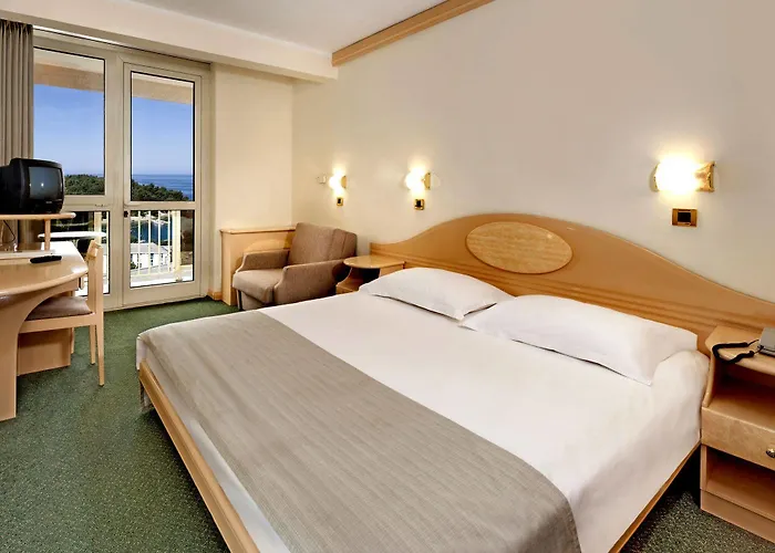 Hotel Gran Vista Plava Laguna 3*